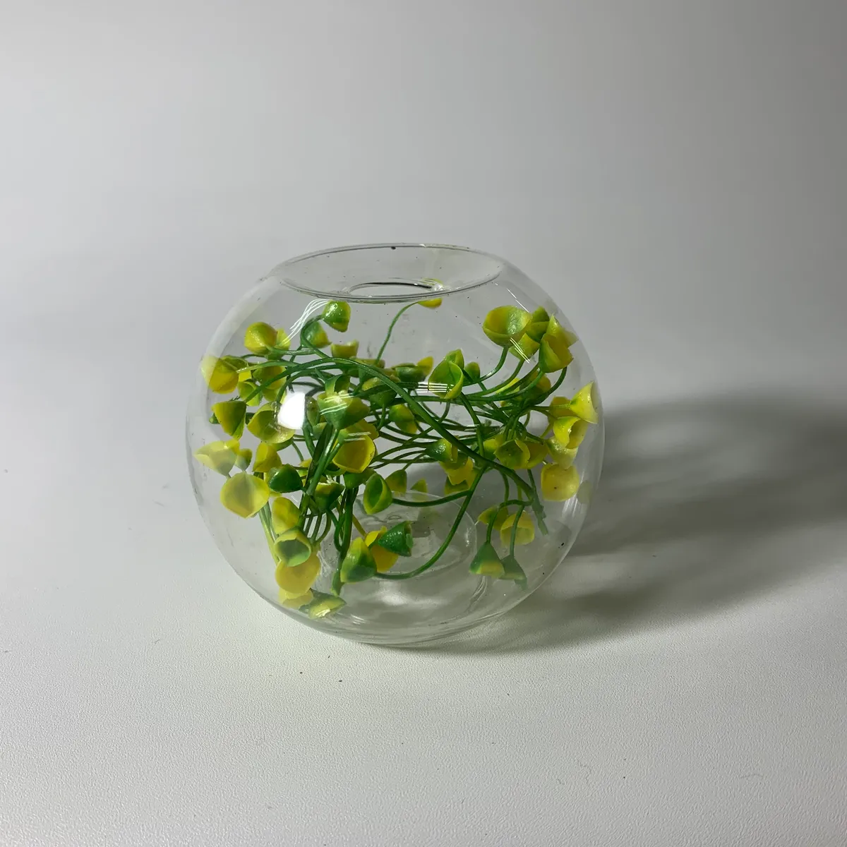 玻璃透明綠色植物球狀燭台
