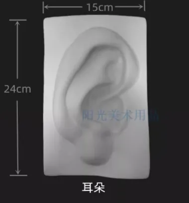 白色耳朵石膏壁掛