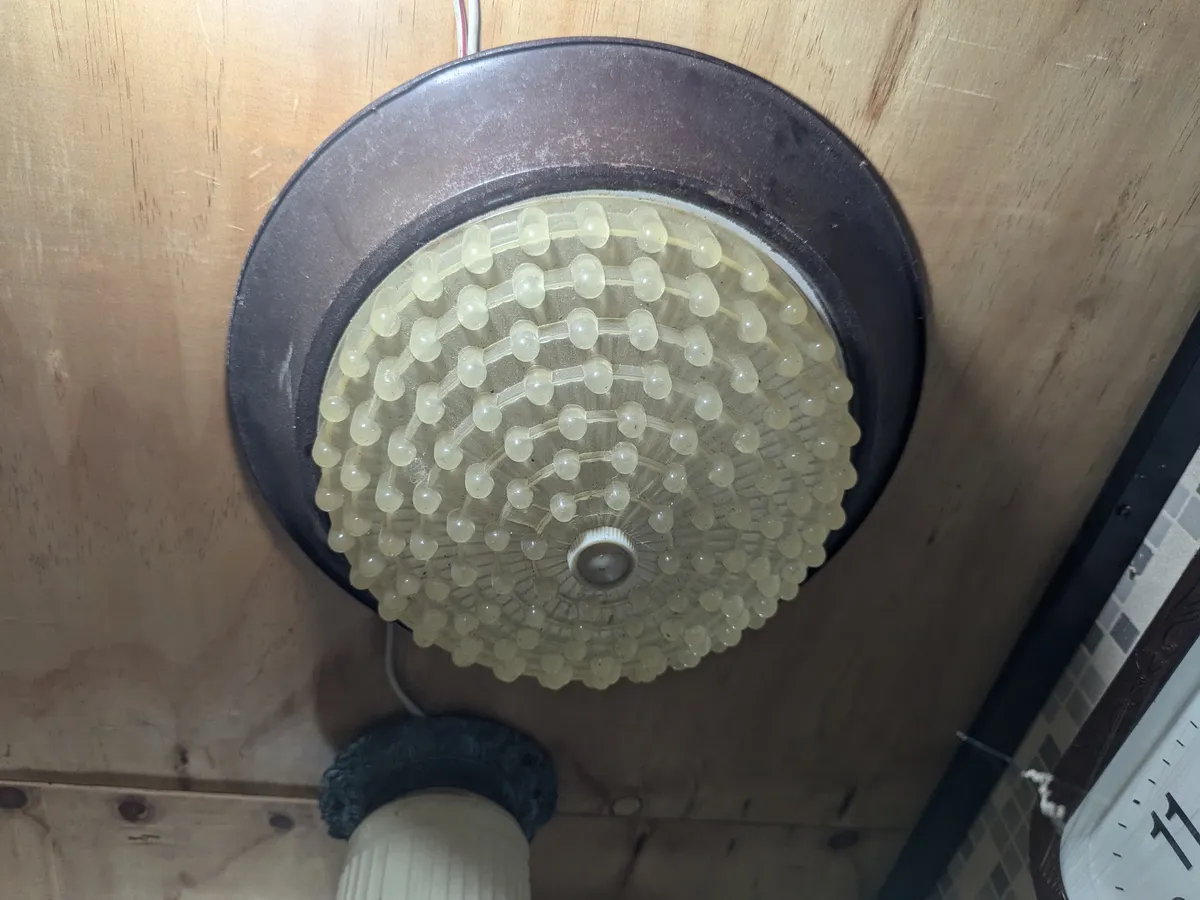PXL_20240704_044523078