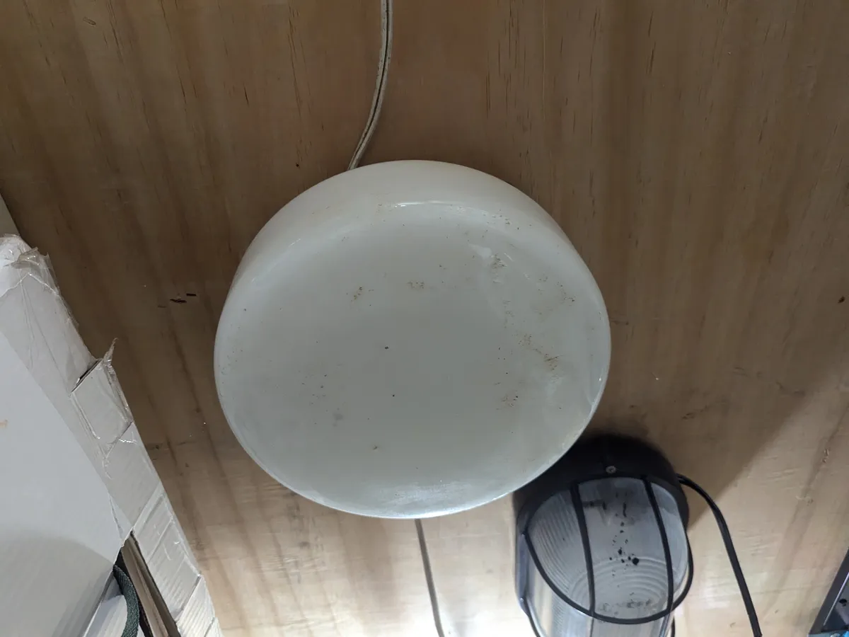 PXL_20240704_044534266