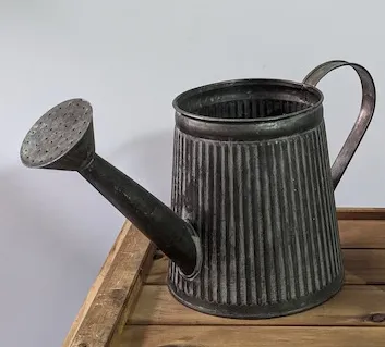 鄉村風 馬口鐵連蓬頭澆水器