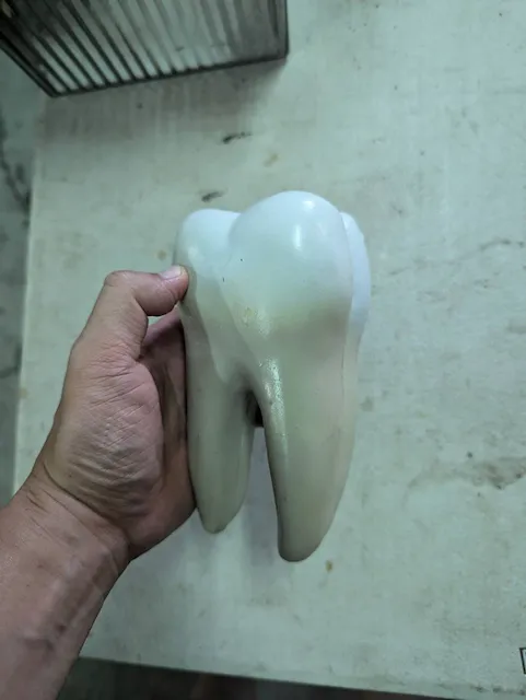 牙齒模型 2